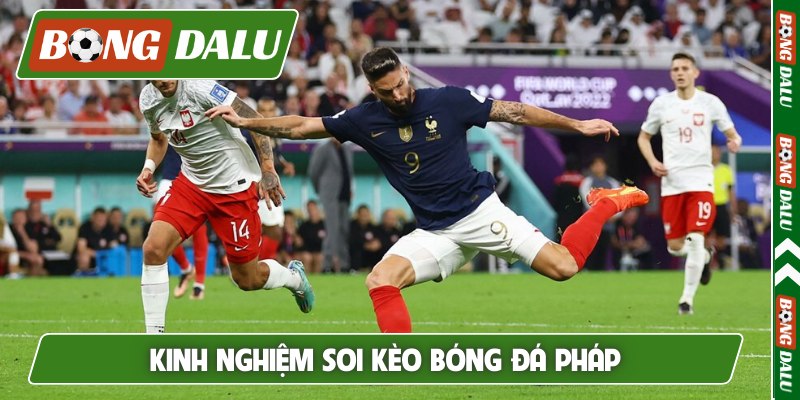 Tránh các lỗi cơ bản khi soi kèo Ligue 1